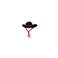 Cowboy Hat Vintage Patch