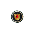 C Crest Vintage Patch