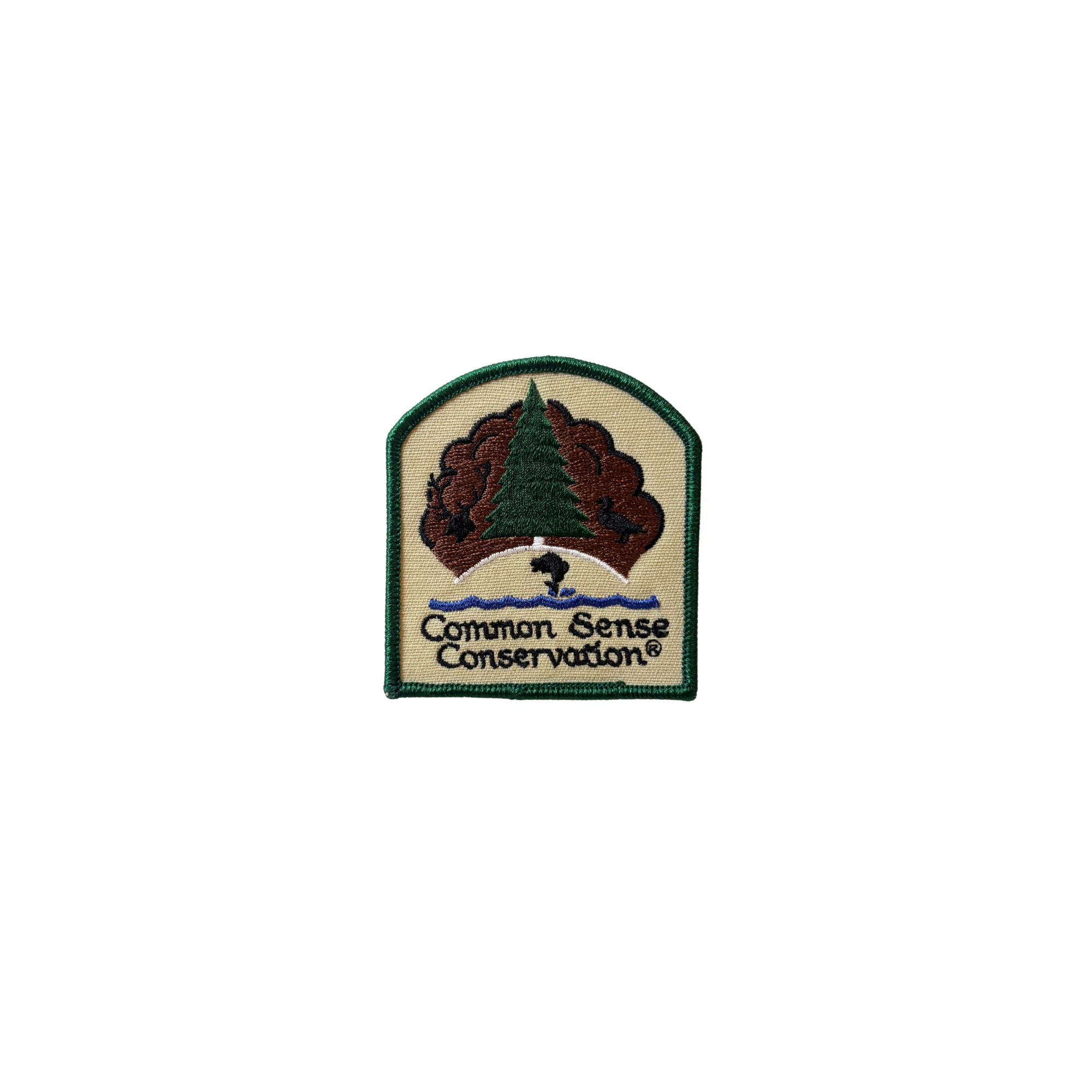 Common Sense Conservation Vintage Patch