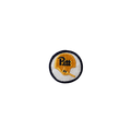 Pitt University Vintage Patch