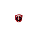 Cincinatti Twins Vintage Patch