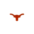 Texas Longhorns Vintage Patch