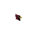 Arizona Cardinals Vintage Patch