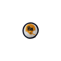 Pitt University 2 Vintage Patch