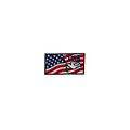 USA Flad with Dove Vintage Patch