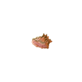 Conch Shell Vintage Patch