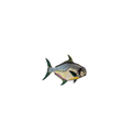 Fish 1 Vintage Patch