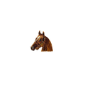 Horse Vintage Patch