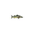 Fish 4 Vintage Patch