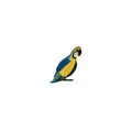 Parrot Vintage Patch