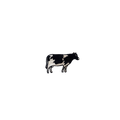 Cow Vintage Patch