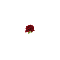 Red Rose Vintage Patch