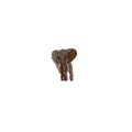 Elephant Vintage Patch