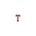 Letter T Orange Vintage Letter