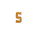 Letter S Yellow Large Vintage Patch