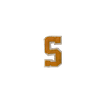 Letter S Yellow Large Vintage Patch