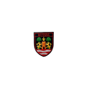 Bayonne Vintage Patch